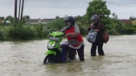 (Foto Istimewa)