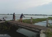 Intensitas Hujan Tinggi, Ratusan Hektar Sawah di Desa Torbang Terendam Banjir Intensitas Hujan Tinggi, Ratusan Hektar Sawah di Desa Torbang Terendam Banjir