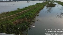 Foto:Banjir yang menggenangi sawah di Desa torbang
