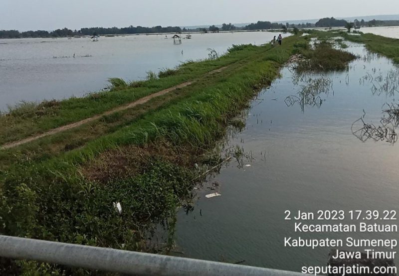 Foto:Banjir yang menggenangi sawah di Desa torbang