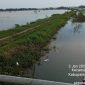 Foto:Banjir yang menggenangi sawah di Desa torbang