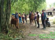 Bismillah Melayani, DKPP Sumenep Terjunkan Tim Keswan ke Lokasi Banjir Bismillah Melayani, DKPP Sumenep Terjunkan Tim Keswan ke Lokasi Banjir