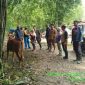 Foto:Tim Keswan dari DKPP Sumenep berikan pelayanan kesehatan pada hewan ternak sapi di desa Sendir, kecamatan Lenteng. 