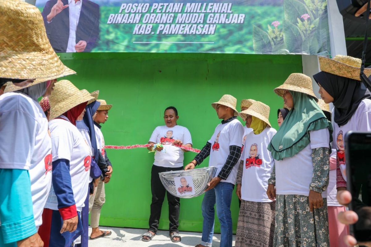 (Foto: Istimewa)