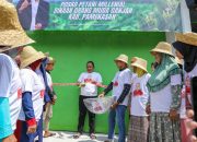 Tingkatkan Kemampuan Bertani, Orang Muda Ganjar Beri Pelatihan Budidaya Tembakau ke Petani Milenial Pamekasan