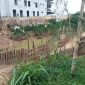 Foto:Tebing sungai yang amblas di Desa Babbalan, Kecamatan Batuan. (Doc.seputarjatim.com) 
