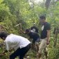Foto Istimewa