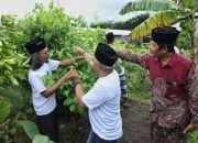 Perkuat Ekonomi dan Ketahanan Pangan, Kiyai Muda Jatim Dukung Budi Daya Kacang Sacha Inchi di Ponpes Fathul Ulum Jombang