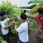 Foto Istimewa
