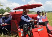 ‘Padi Petani Kita Untuk Indonesia’, Pemkab Sumenep Dukung Panen Padi Nusantara Satu Juta Hektare