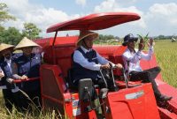 Foto:Moment Bupati Fauzi mencoba alat pertanian pada panen raya di Desa Gunggung, Kecamatan Batuan. 