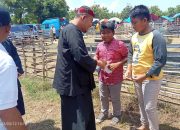 Bersama Paguyuban Kerapan Kambing, Bupati Fauzi Santuni Anak Yatim