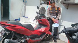 Foto Istimewa