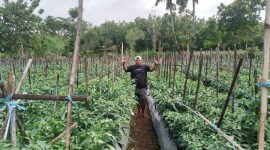 Foto:Oyik "Lanyala" inisiator wisata petik sayur dan buah sekaligus pemilik lahan