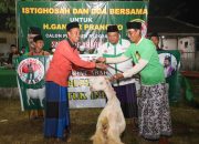 Santrine Ganjar Sedekah Hewan Kurban untuk Ponpes Raudlatul Ulum di Bangkalan Santrine Ganjar Sedekah Hewan Kurban untuk Ponpes Raudlatul Ulum di Bangkalan