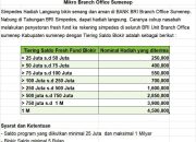 BRI Kembali Luncurkan Program Terbaru, Yuk Manfaatkan Segera