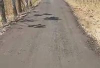 Foto:Perbaikan Jalan di dusun karang yang di klaim hasil swadaya