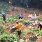 Warga Desa Pakondang Sumenep, Madura, Jawa Timur, melakukan tradisi 'Akosar' atau membersihkan makam leluhur