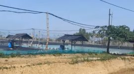 PRODUKTIF: Lahan tambak udang yang berizin resmi sadang beroperasi 