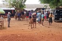 TERPANTAU: Salah satu pasar ternak di Kabupaten Sumenep terlihat sepi pembeli dan minim stok (SandiGT - Seputar Jatim)