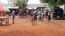 TERPANTAU: Salah satu pasar ternak di Kabupaten Sumenep terlihat sepi pembeli dan minim stok (SandiGT - Seputar Jatim)