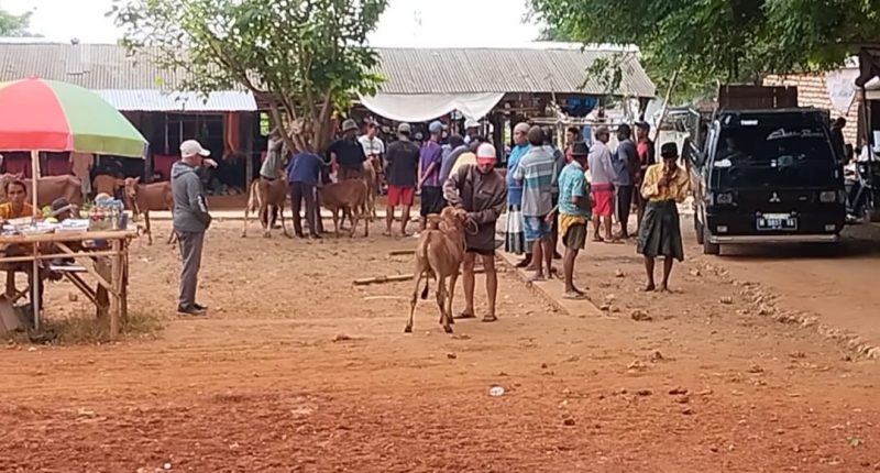 TERPANTAU: Salah satu pasar ternak di Kabupaten Sumenep terlihat sepi pembeli dan minim stok (SandiGT - Seputar Jatim)