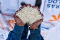 ILUSTRASI: Bantuan Bulog 2024 diduga diselewengkan