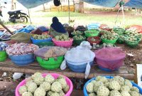 PINGGIR JALAN: Penjual buah srikaya di Kecamatan Saronggi Sumenep, saat merapikan dagangannya (SandiGT - Seputar Jatim)