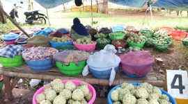 PINGGIR JALAN: Penjual buah srikaya di Kecamatan Saronggi Sumenep, saat merapikan dagangannya (SandiGT - Seputar Jatim)