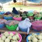 PINGGIR JALAN: Penjual buah srikaya di Kecamatan Saronggi Sumenep, saat merapikan dagangannya (SandiGT - Seputar Jatim)