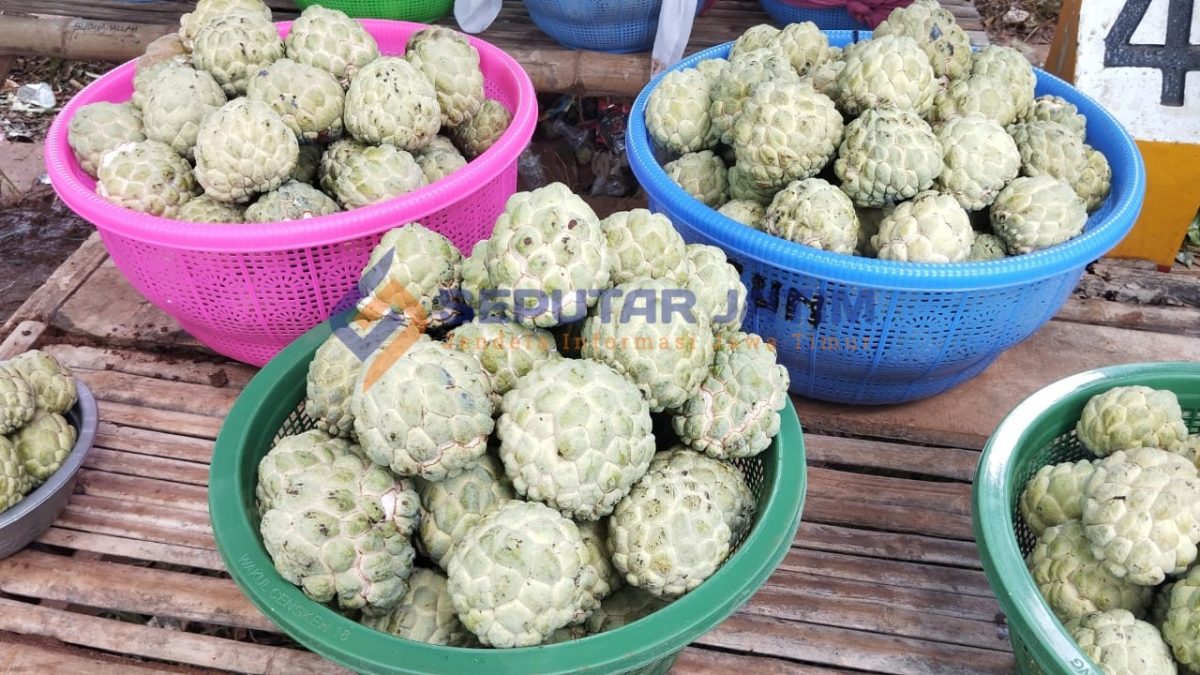 LEZAT: Buah Srikaya yang dijual oleh warga di sepanjang jalan Saronggi (SandiGT - Seputar Jatim)