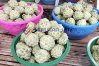 LEZAT: Buah Srikaya yang dijual oleh warga di sepanjang jalan Saronggi (SandiGT - Seputar Jatim)