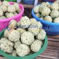 LEZAT: Buah Srikaya yang dijual oleh warga di sepanjang jalan Saronggi (SandiGT - Seputar Jatim)