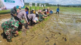 MENANAM: Kepala DKPP dan Bupati Sumenep saat melakukan gerakan tanam padi di Desa Poreh Kecamatan Lenteng (SandGT - Seputar Jatim)