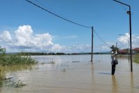 CERAH: Lahan pertanian di Desa Patean, Kecamatan Batuan, Kabupaten Sumenep terendam banjir (SandiGT - Seputar Jatim)