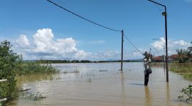 CERAH: Lahan pertanian di Desa Patean, Kecamatan Batuan, Kabupaten Sumenep terendam banjir (SandiGT - Seputar Jatim)