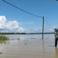 CERAH: Lahan pertanian di Desa Patean, Kecamatan Batuan, Kabupaten Sumenep terendam banjir (SandiGT - Seputar Jatim)