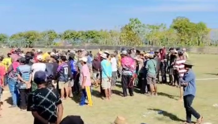 Panitia Kerapan Sapi di Sapudi Sumenep Dinilai Tak Becus hingga Picu Keributan