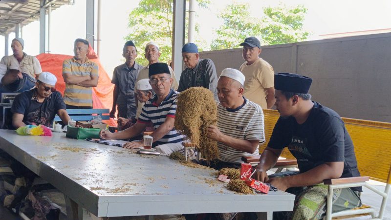 MENYORTIR: Pemilik Perusahaan Rokok Bahagia Haji Mukmin, dan karyawannya saat melakukan pembelian tembakau milik petani di Gudangnya di Jl. Raya Lenteng-Ganding Sumenep (Doc. Seputar Jatim)