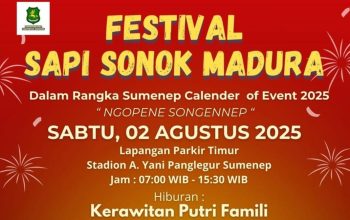 IMG 20250801 WA0051