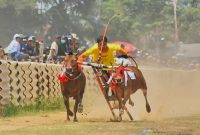 CEPAT: Karapan Sapi di Pulau Madura (Foto Istimewa)
