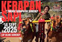 FLYER: karapan sapi piala Bupati Sumenep (Foto Istimewa)