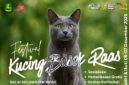Flayer Festival Kucing Busok Raas 2025 (Foto Istimewa)