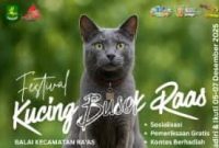Flayer Festival Kucing Busok Raas 2025 (Foto Istimewa)