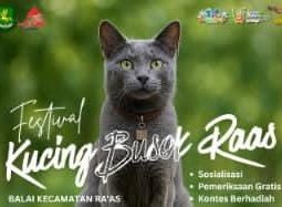 Festival Kucing Busok Raas 2025: Ajang Konservasi Ras Langka yang Jadi Magnet Wisata