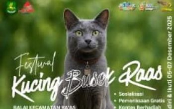 Festival Kucing Busok Raas 2025: Ajang Konservasi Ras Langka yang Jadi Magnet Wisata