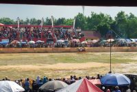 TEMPUR: Sepasang sapi karapan memeriahkan peringatan Hari Ulang Tahun (HUT) pertama DRT di Lapangan Giling Sumenep (SandGT - Seputar Jatim)