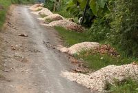 MENUMPUK: Pengaspalan Jalan menghantui Desa Meddelan (Doc. Seputar Jatim)