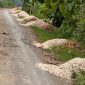 MENUMPUK: Pengaspalan Jalan menghantui Desa Meddelan (Doc. Seputar Jatim)