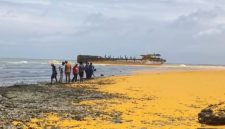 TUMPAH: Minyak mentah kelapa sawit atau crude palm oil (CPO) tumpah dari kapal tongkang di Pulau Gili Iyang Sumenep (SandiGT - Seputar Jatim)